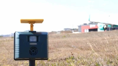 Sabiha G&ouml;k&ccedil;en&rsquo;de u&ccedil;uş emniyeti i&ccedil;in 7/24 yaban hayatla m&uuml;cadele devam ediyor
