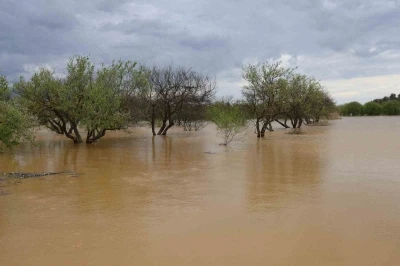 Sağanak yağış Menderes Nehri&rsquo;ni taşırdı
