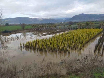Sağanak yağış &Ouml;demiş&rsquo;te zarara neden oldu
