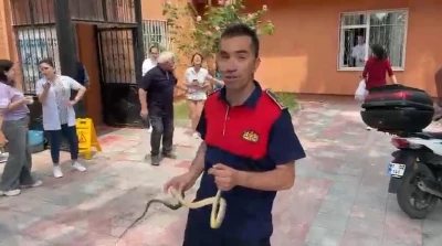 Sağlık ocağında yılan paniği
