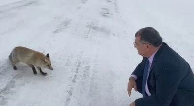 Sahara Ge&ccedil;idi&rsquo;nde karşılaştığı tilkiye yiyecek verdi
