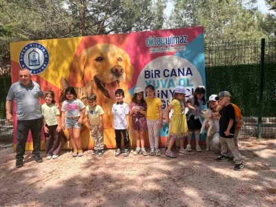 Sahipsiz sokak hayvanları tedavi merkezi ve doğal yaşam alanı, &ouml;ğrencileri ağırladı
