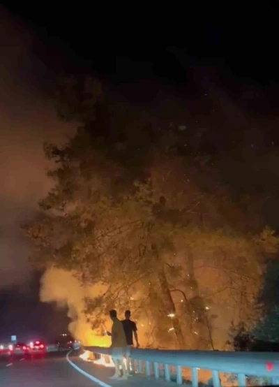 Sakar rampasında orman yangını
