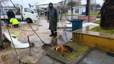 Sakarya&rsquo;da 25 metrelik kavak ağacı şiddetli r&uuml;zgara dayanamadı
