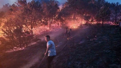 Sakarya’da makilik alanda çıkan yangın söndürüldü
