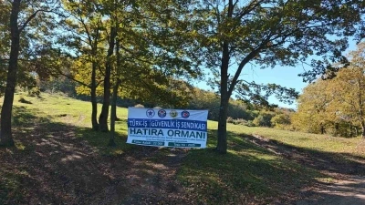 Sakarya’da yeşil geleceğe katkı: 22 bin fidan toprakla buluştu
