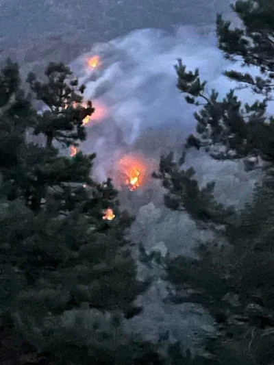 Sakarya’daki orman yangını kontrol altına alındı
