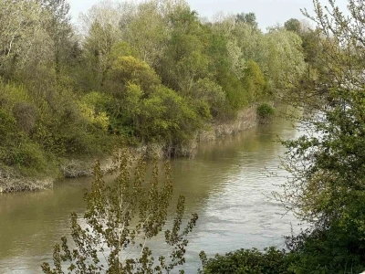 Sakarya Nehri&rsquo;ne d&uuml;şen &ccedil;ocuk didik didik aranıyor
