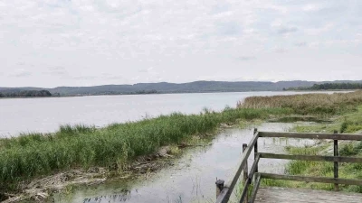 Sakarya’nın alüvyon set gölü can çekişiyor: Su seviyesi 8 metreden 2 metreye düştü
