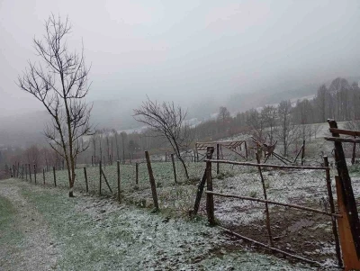 Sakarya&rsquo;nın y&uuml;ksek kesimleri beyaza b&uuml;r&uuml;nd&uuml;
