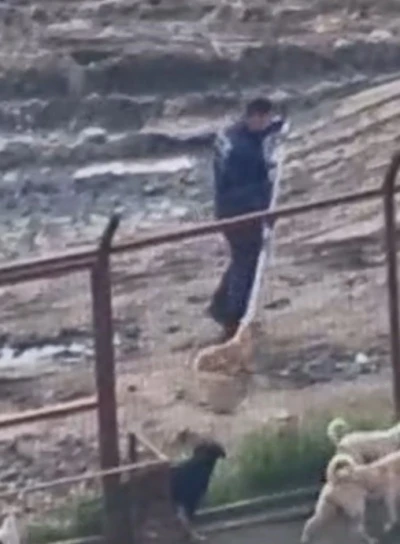 Sakarya Valiliğinden iki il&ccedil;edeki barınak g&ouml;r&uuml;nt&uuml;lerine ilişkin a&ccedil;ıklama
