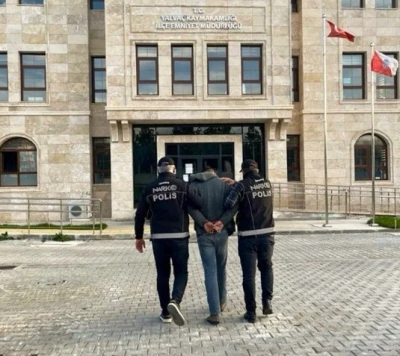 Saksıda kenevir yetiştiren 2 şüpheliye adli işlem
