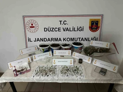 Saksıda kenevir yetiştiren şahıs g&ouml;zaltına alındı
