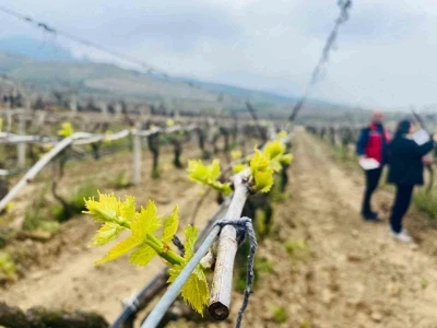 Salihli&rsquo;de yağışlar &Ouml;l&uuml;kol riskini artırdı
