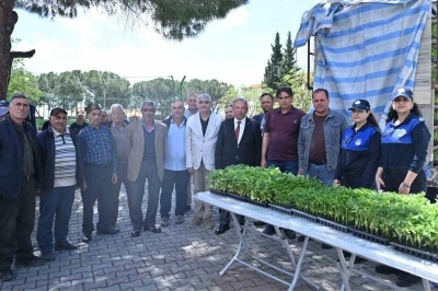 Salihlili &uuml;reticilere 34 bin sebze fidesi
