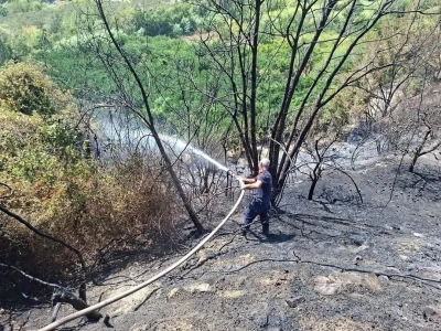 Samandağ’da bahçe yangını kısa sürede söndürüldü
