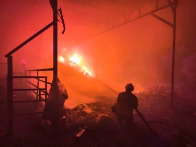 Samanlıktan y&uuml;kselen alevler, besihaneye ulaşmadan kontrol altına alındı
