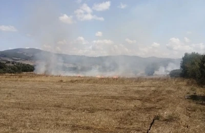 Samsun’da anız yangını ormana sıçramadan söndürüldü
