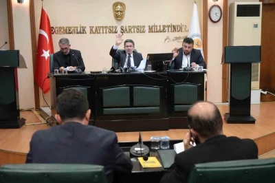 Samsun&rsquo;da Bala&ccedil;&rsquo;ı doğalgaza kavuşturacak imar planı değişikliği meclisten ge&ccedil;ti
