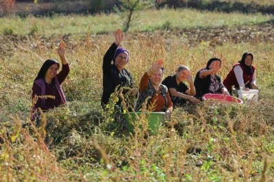 Samsun&rsquo;da bitkisel ve hayvansal &uuml;retim destekleniyor
