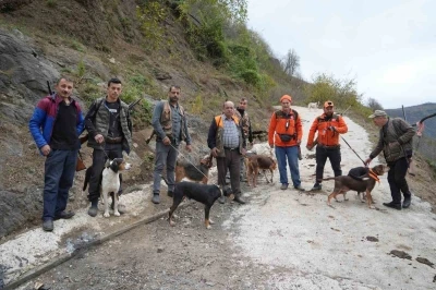 Samsun’da domuz alarmı: Avcılığa &quot;takoz&quot; engeli
