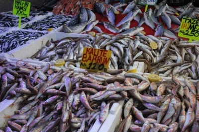 Samsun’da hamsi bolluğu fiyatları düşürdü: &quot;Fakirin eti&quot; oldu
