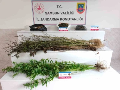 Samsun’da jandarma 2 kilo 355 gram esrar ele geçirdi: 2 gözaltı
