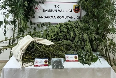 Samsun’da jandarma kenevir ve kubar esrar ele geçirdi
