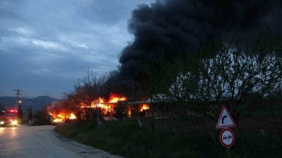 Samsun&rsquo;da meyve deposunda yangın: Ekipler m&uuml;dahale ediyor
