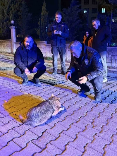 Samsun&rsquo;da şehre inen &ccedil;akala polis ekiplerinden şefkat eli

