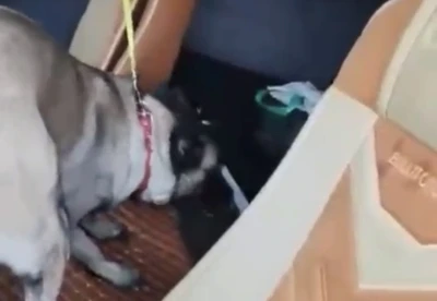 Samsun&rsquo;da tırda metamfetamin ele ge&ccedil;irildi
