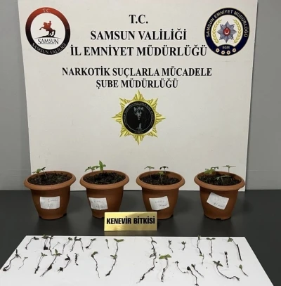 Samsun&rsquo;da uyuşturucu operasyonu: 4 g&ouml;zaltı
