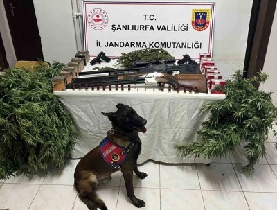 Şanlıurfa’da 1 kilo 508 gram kubar esrar ele geçirildi: 3 gözaltı