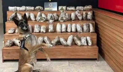 Şanlıurfa&rsquo;da 17 kilo 550 gram skunk ele ge&ccedil;irildi
