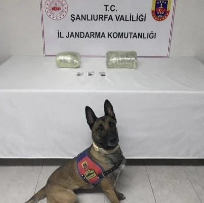 Şanlıurfa&rsquo;da 2 kilo kubar esrar ele ge&ccedil;irildi: 1 g&ouml;zaltı
