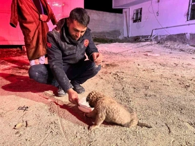 Şanlıurfa&rsquo;da 20 metrelik sondaj kuyusuna d&uuml;şen yavru k&ouml;pek kurtarıldı
