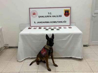 Şanlıurfa’da 210 bin TL ile uyuşturucu madde ele geçirildi
