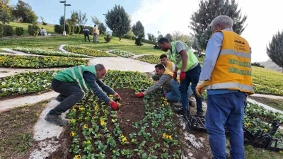 Şanlıurfa’da 400 bin çiçek toprakla buluşuyor
