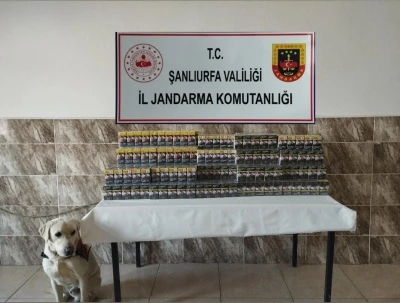 Şanlıurfa’da 420 paket gümrük kaçağı sigara ele geçirildi
