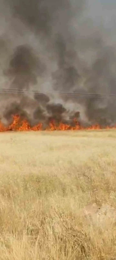 Şanlıurfa&rsquo;da 45 d&ouml;n&uuml;m buğday ekili alan yandı
