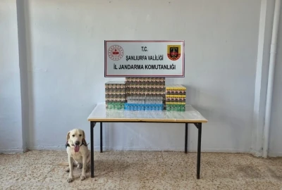 Şanlıurfa’da 7 bin 777 paket gümrük kaçağı sigara ele geçirildi
