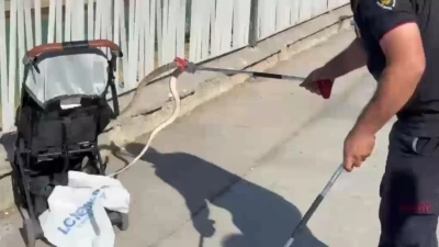 Şanlıurfa&rsquo;da ağa&ccedil;tan bebek arabasına yılan d&uuml;şt&uuml;
