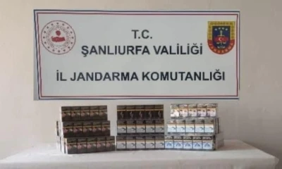 Şanlıurfa’da gümrük kaçağı 910 paket sigara ele geçirildi

