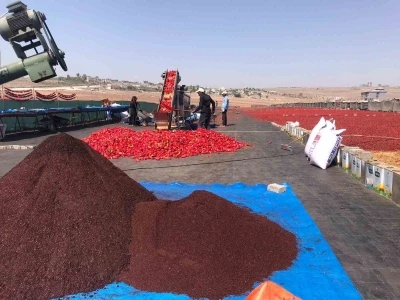 Şanlıurfa’da isotun ’acı’ serüveni başladı
