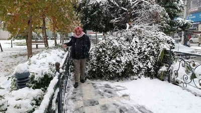 Şanlıurfa&rsquo;da kar yağışı nedeniyle ağa&ccedil; devrildi
