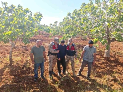 Şanlıurfa&rsquo;da kaybolan &ccedil;ocuk fıstık bah&ccedil;esinde bulundu
