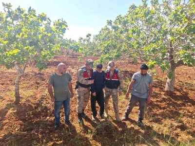 Şanlıurfa&rsquo;da kaybolan &ccedil;ocuk fıstık bah&ccedil;esinde bulundu