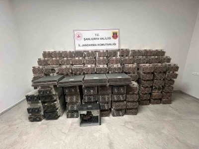 Şanlıurfa’da kripto para madenciliği operasyonu: 2 gözaltı
