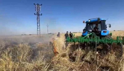 Şanlıurfa&rsquo;da onlarca d&ouml;n&uuml;ml&uuml;k arpa ekili tarla k&uuml;l oldu
