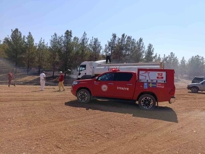 Şanlıurfa’da orman yangını

